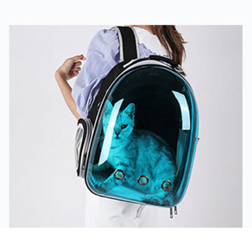 Pet Backpack