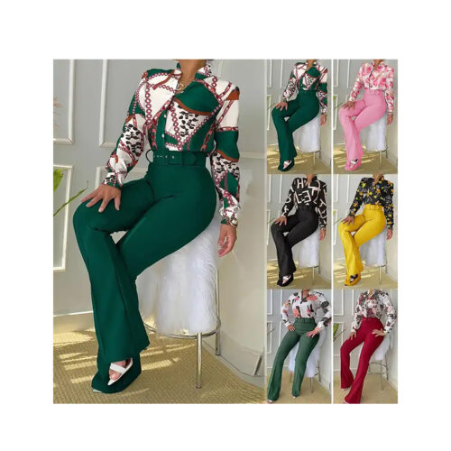 Two pieces clothes sets for women with pant and printed blouse